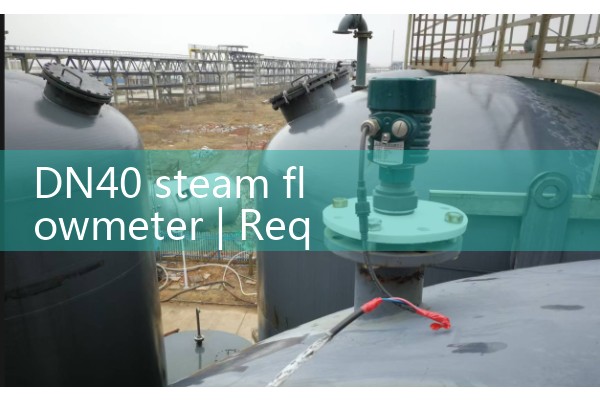DN40 steam flowmeter